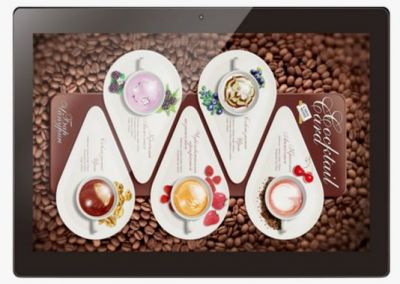 Интерактивный дисплей 10'' BOE MF10AP